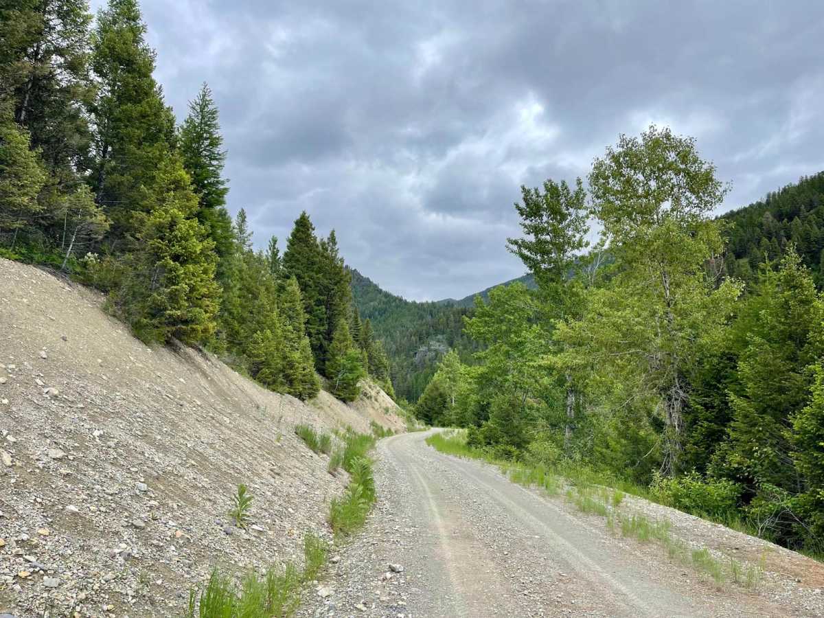 McCabe Creek photo 6