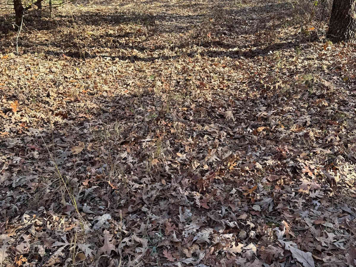 Green 172 photo 2