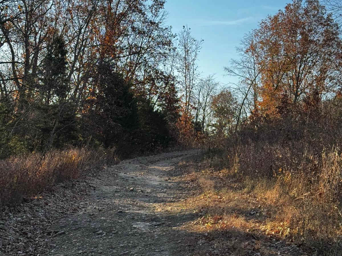 Heavens Stairs L1 trail photo