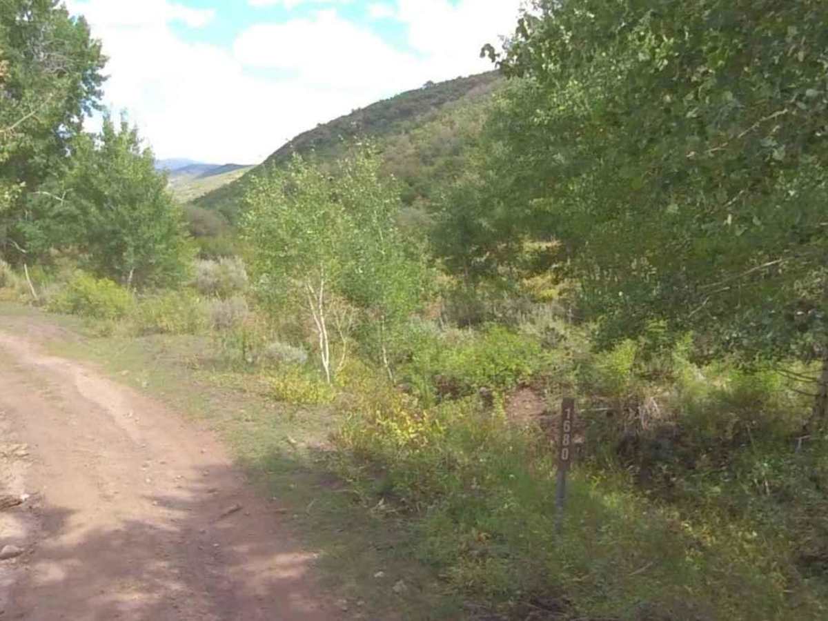 Cummings Creek Road- FS 41680 photo 3