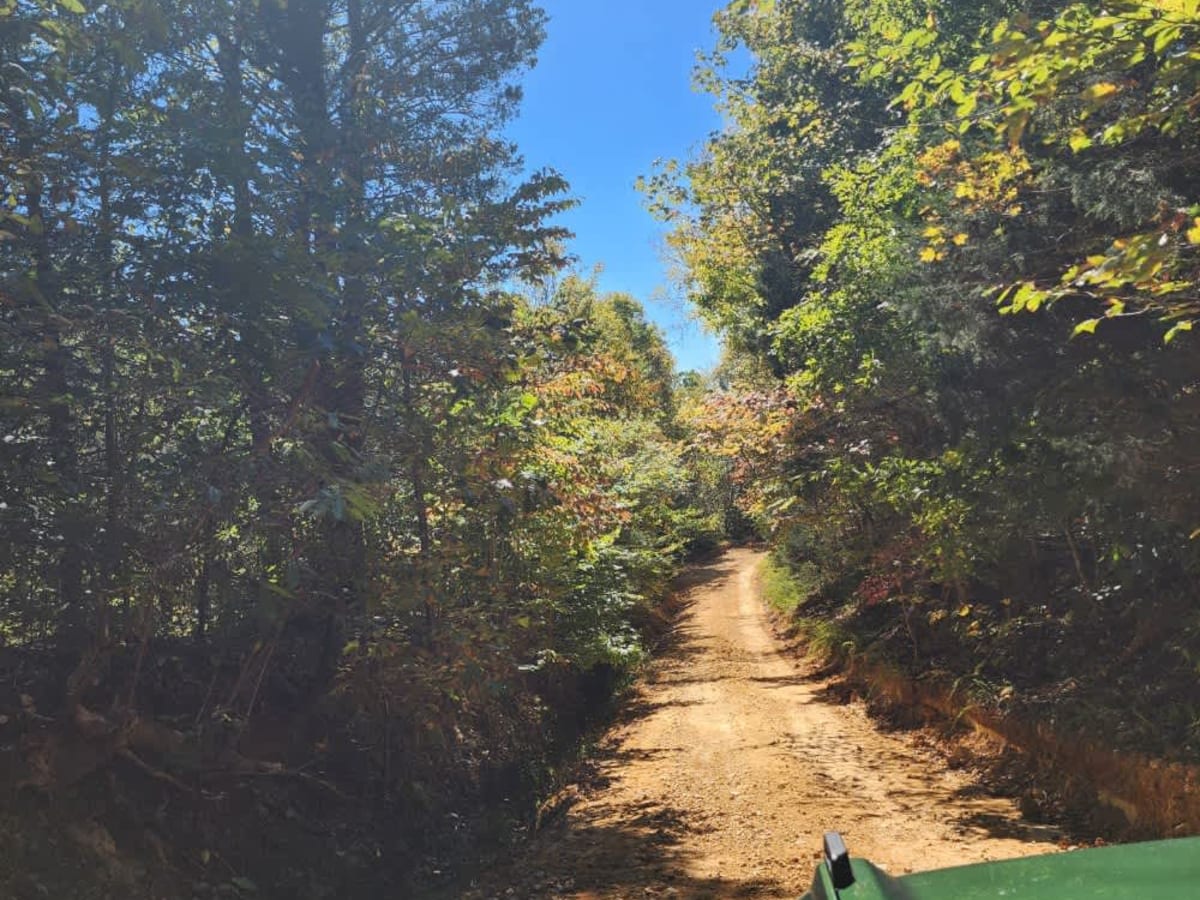 Tyler Ridge Road photo 3
