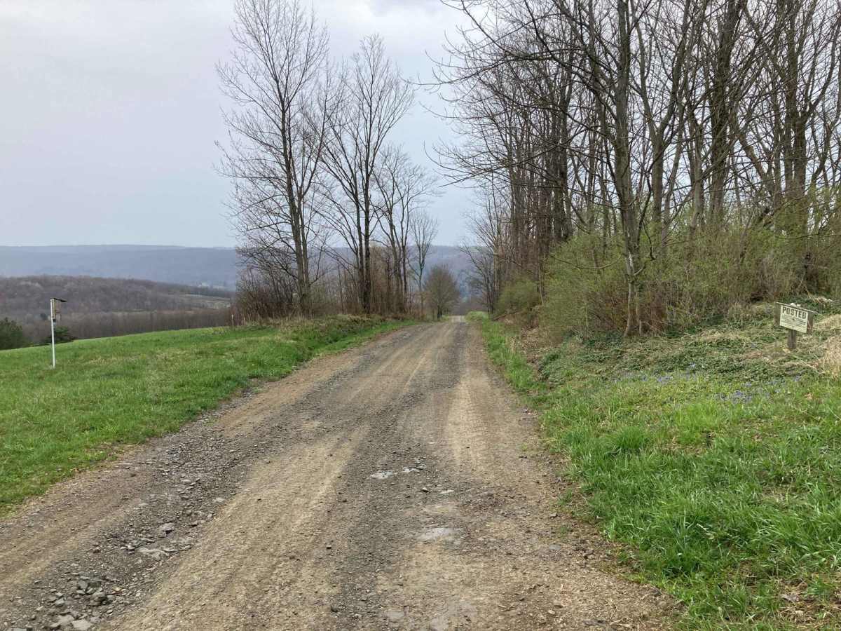 Cuyler Hill Road trail photo