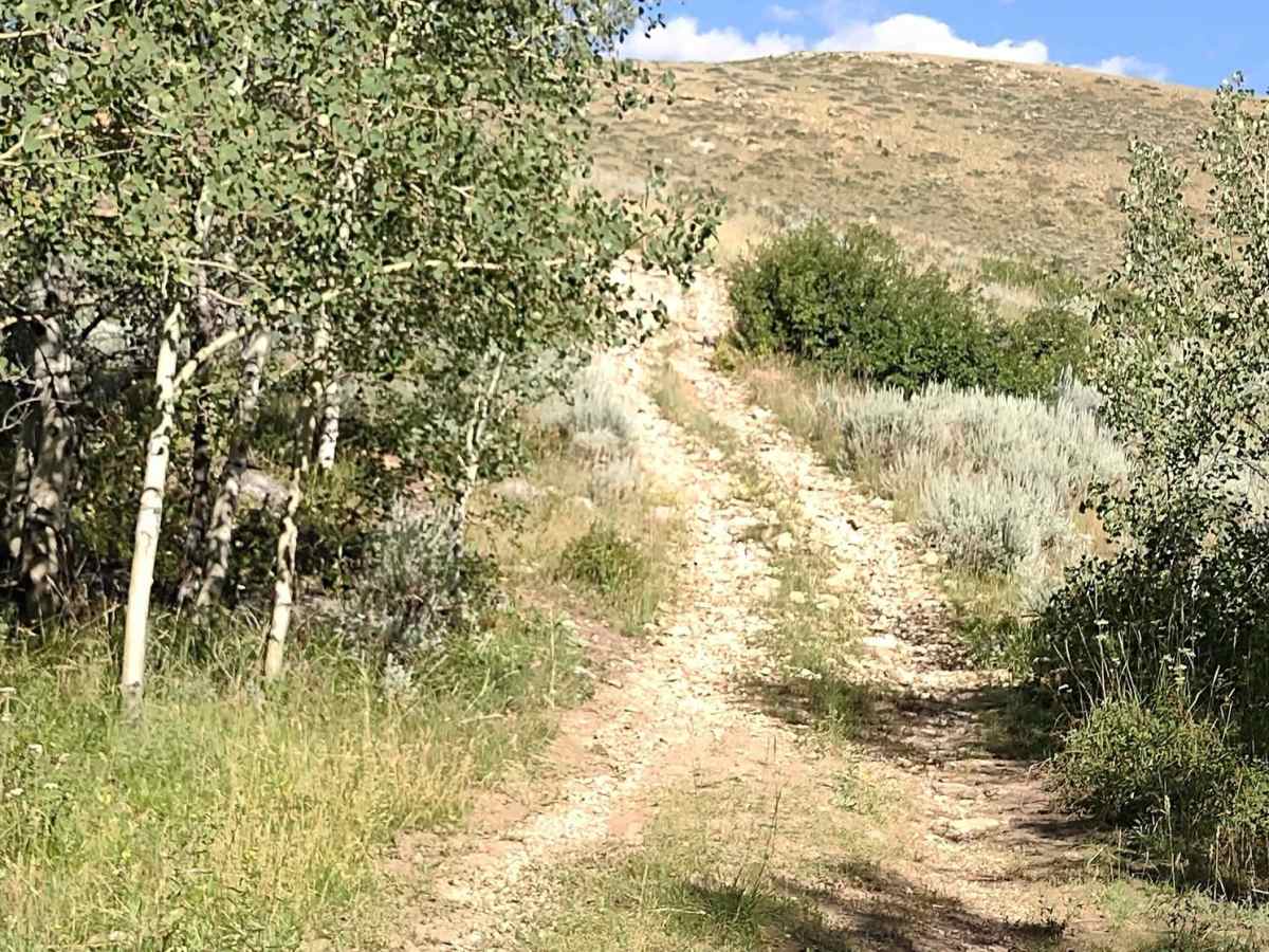 Stairway to Heaven photo 6
