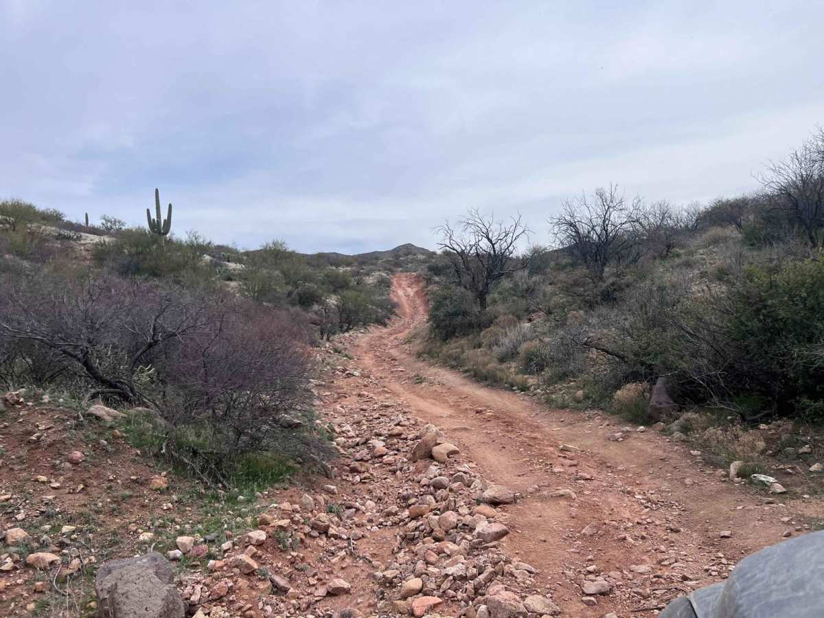 Buckskin Canyon photo 2