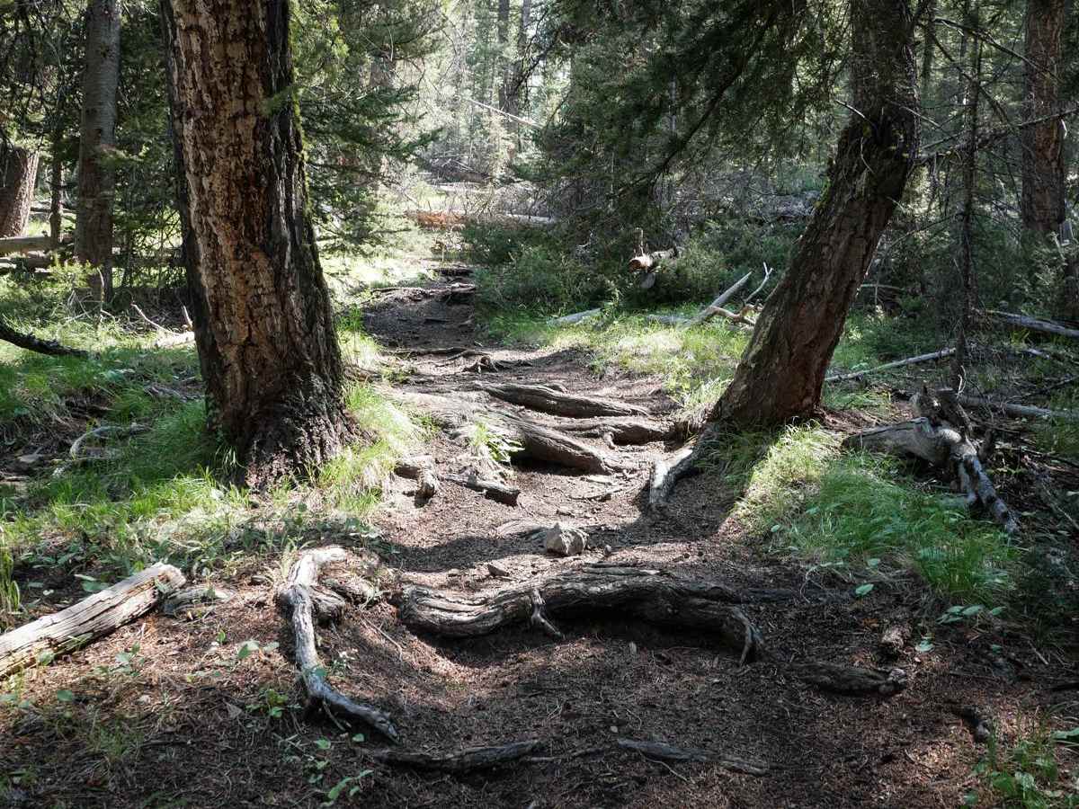 Buster Lake ATV photo 3