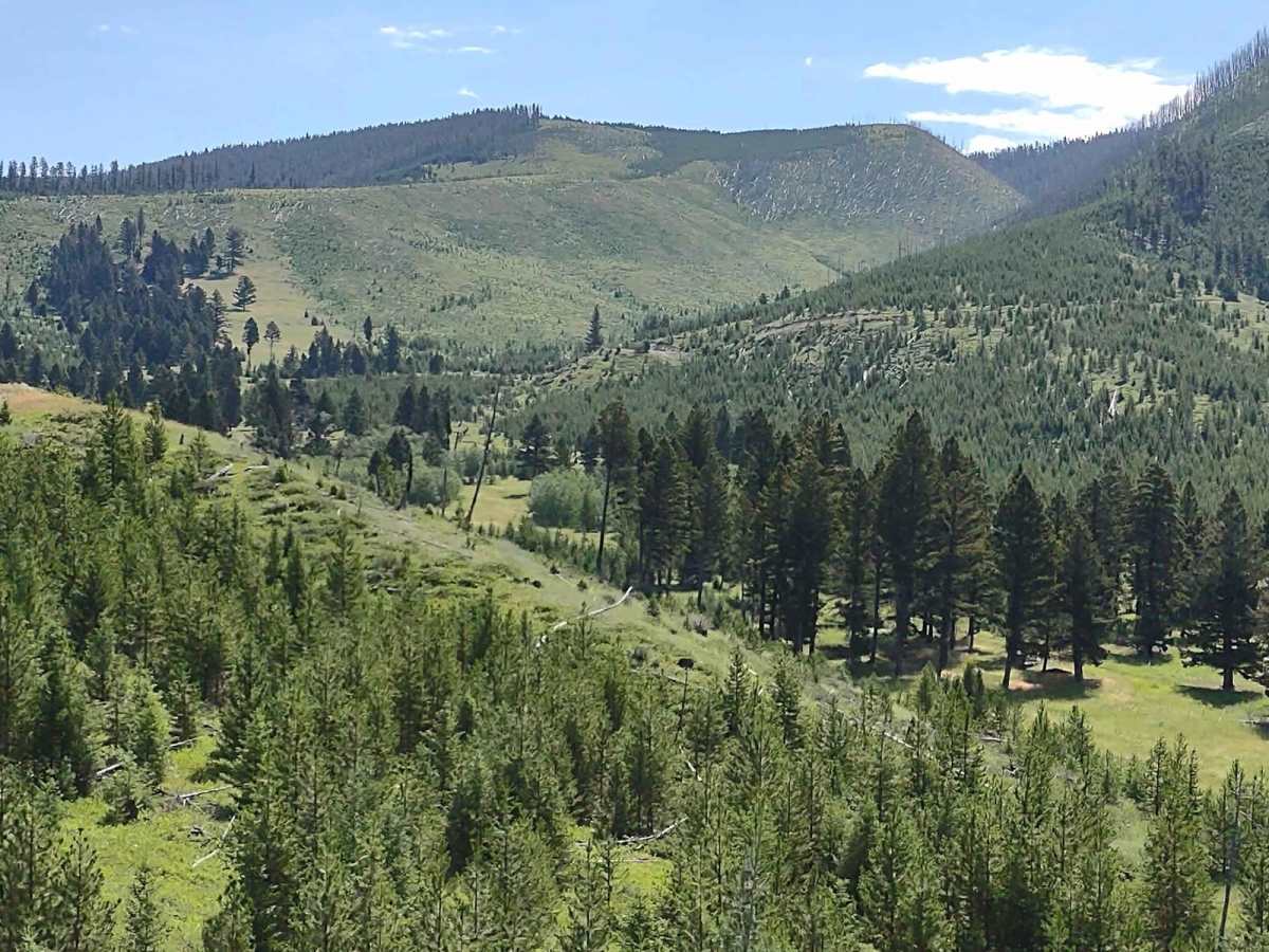 Sunshine Ridge trail photo