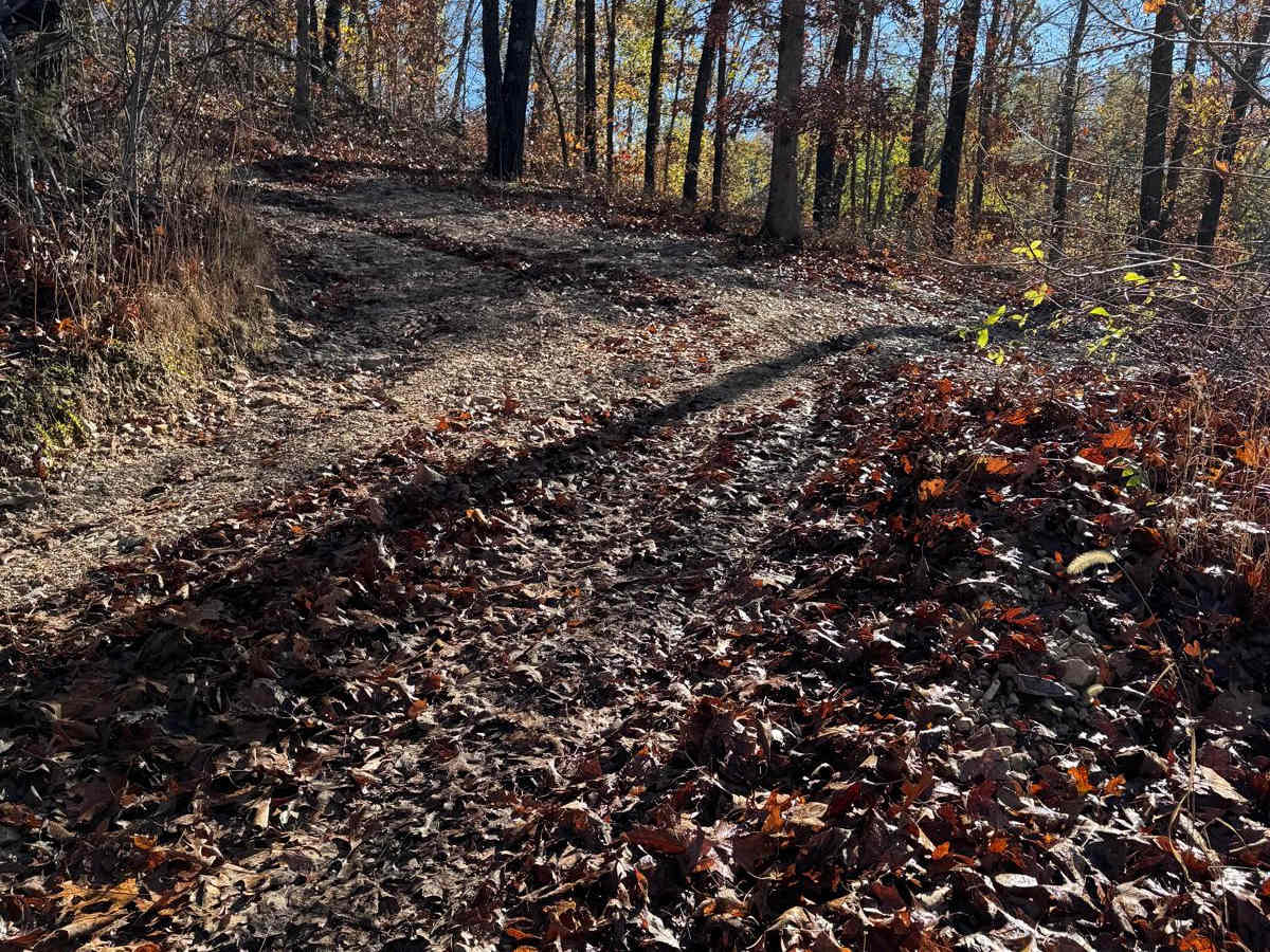 Green 125 trail photo