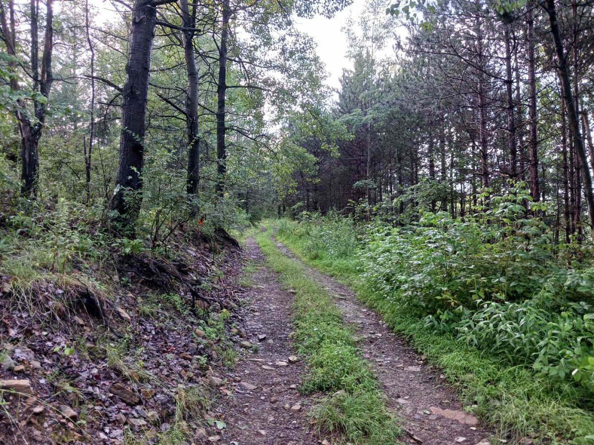Trail 11I - Rock Run Recreation Area photo 5
