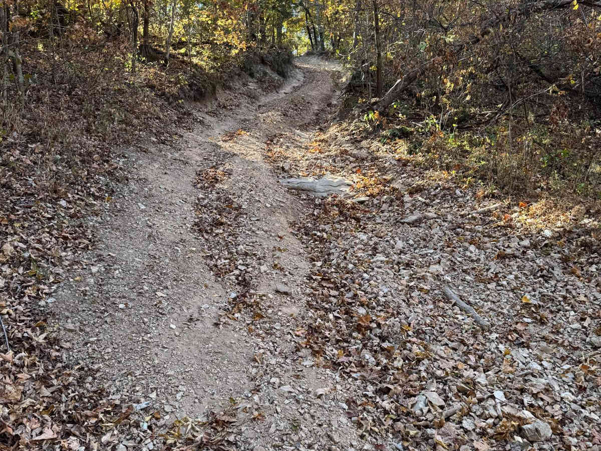 Red 62 trail photo