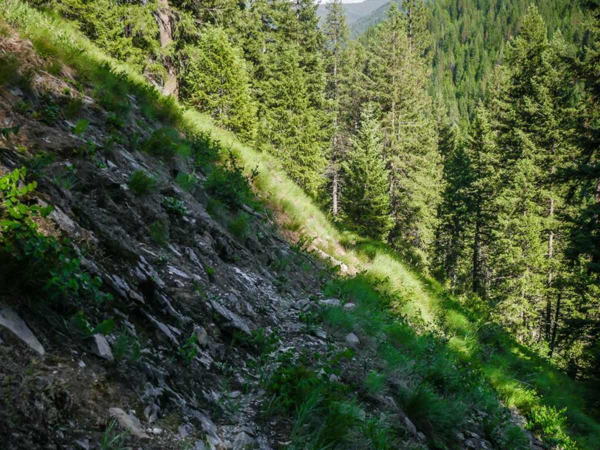 Dam Ridge photo 3