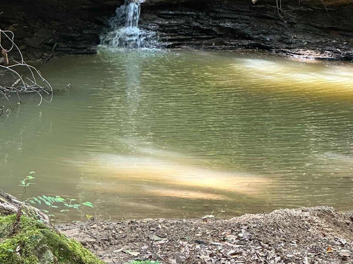 Water Holler trail photo