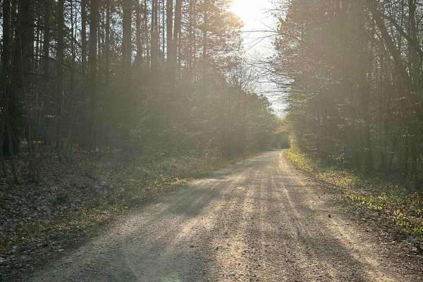 Cadillac Area ORV/OHV Scenic Ride - Part 3