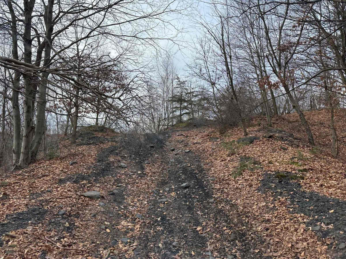 Locust Gap 8 photo 5