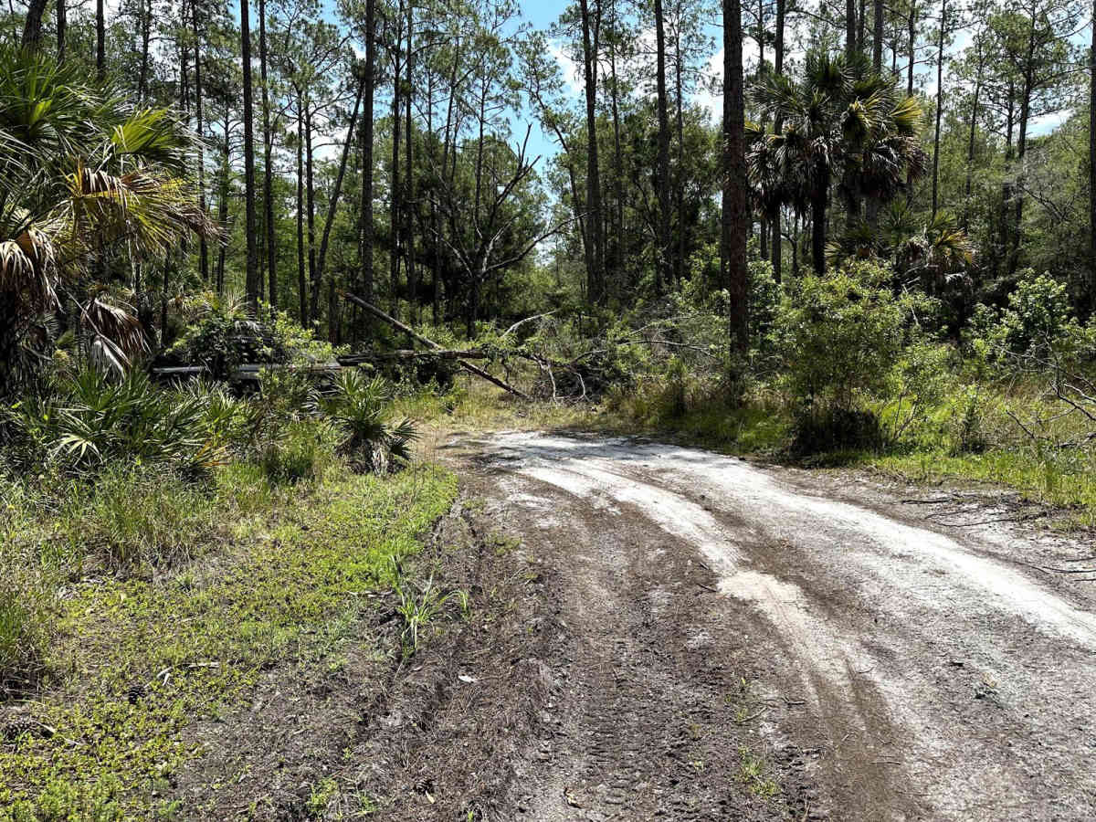 Gator Hole Throughway photo 4