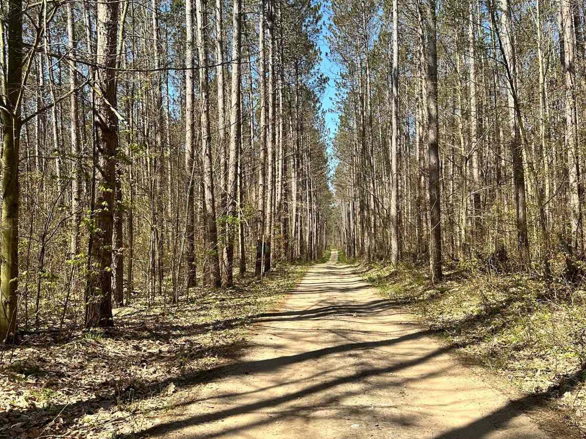 Cadillac Area ORV/OHV Scenic Ride - Part 14 trail photo
