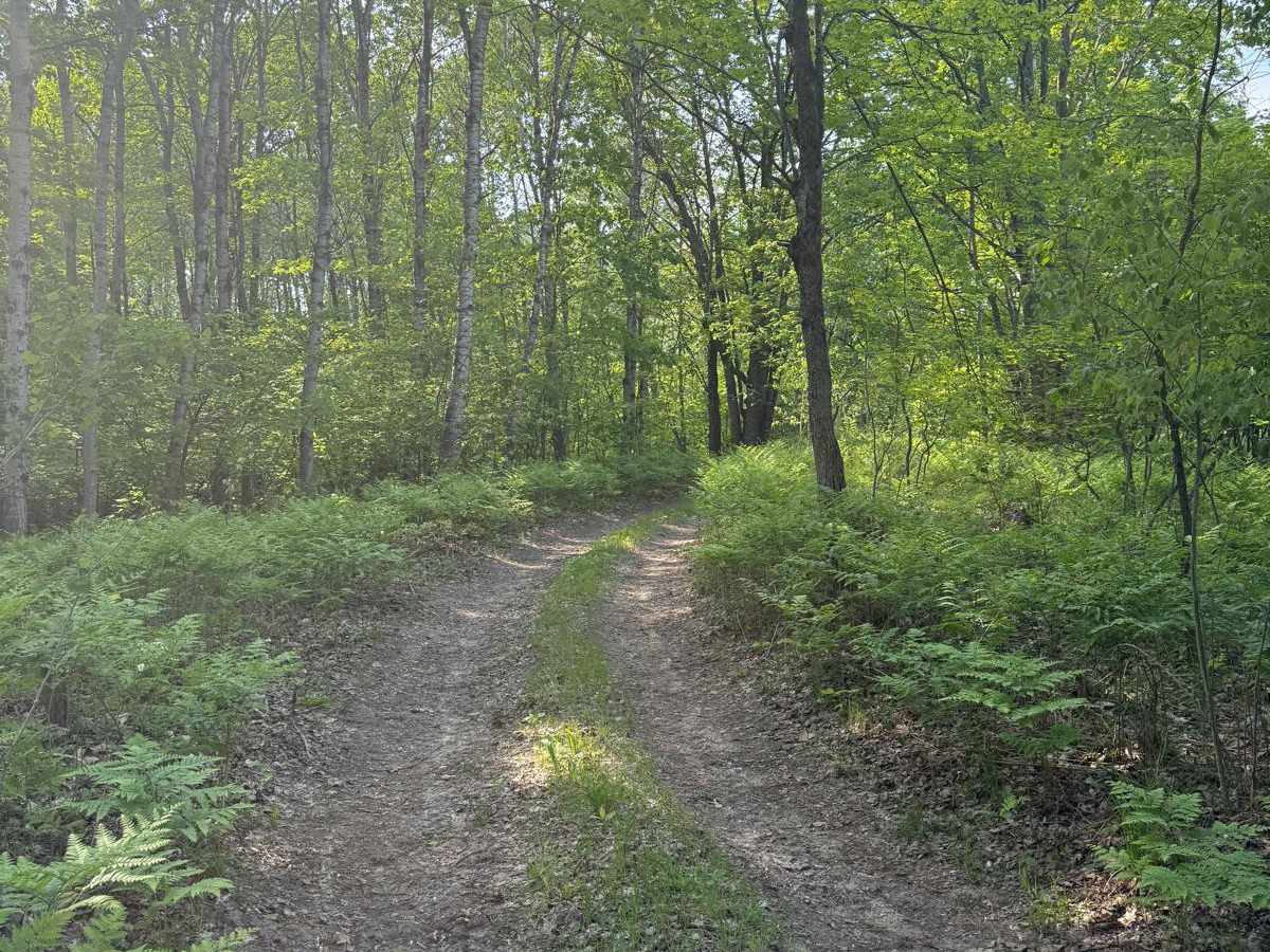 Trail 38 photo 4