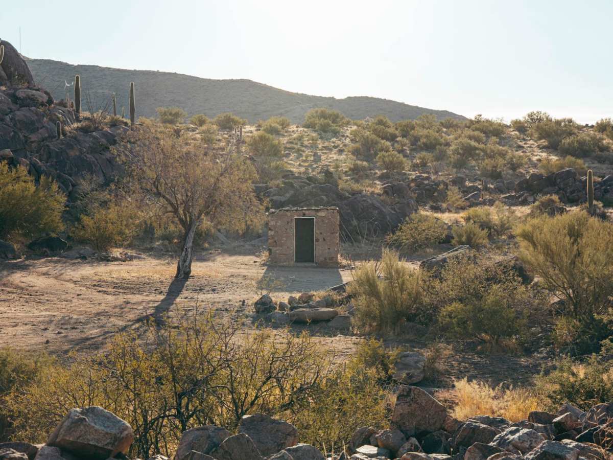Octave Trail photo 6
