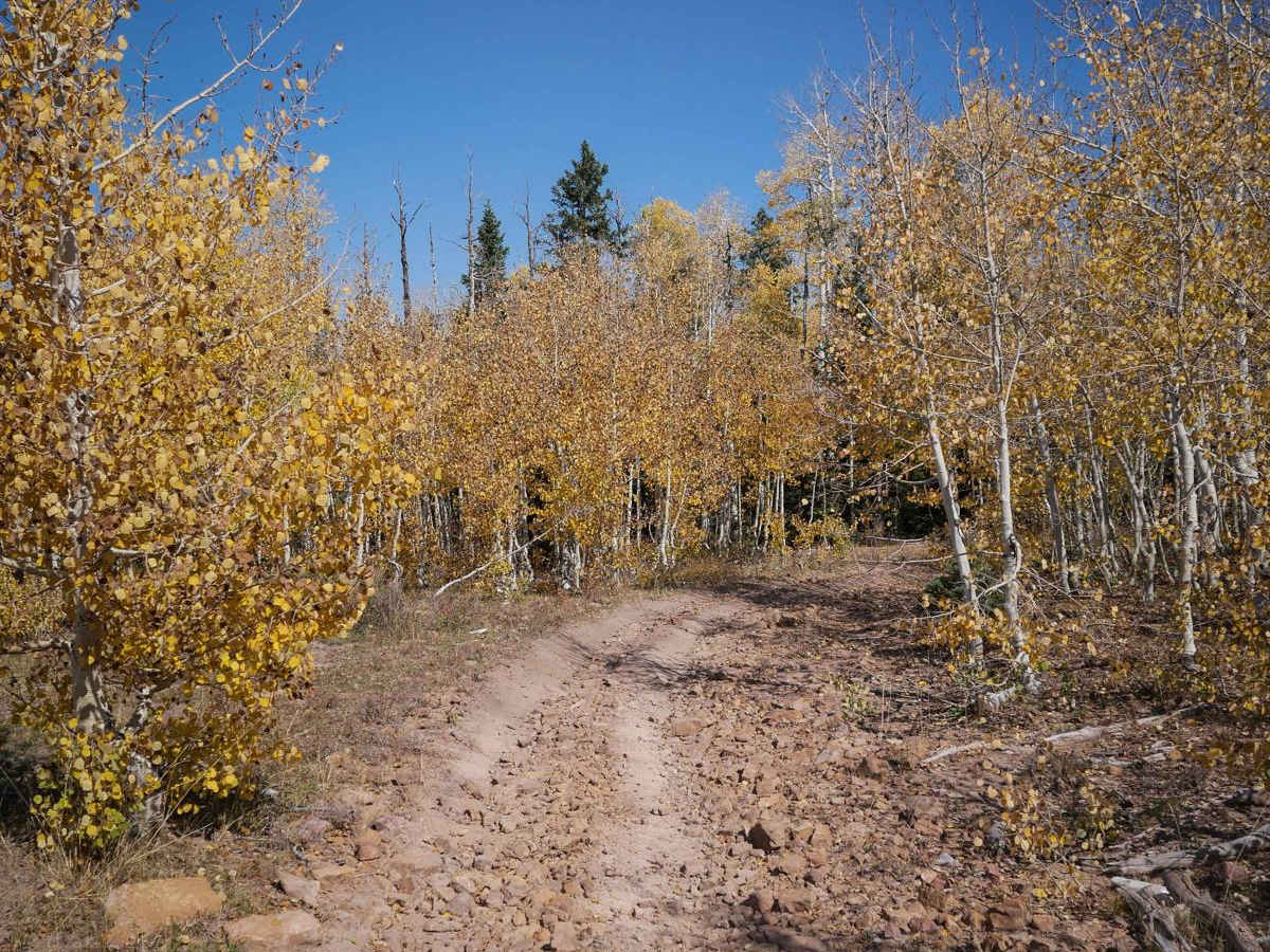 East Fork Dry Creek ATV Trail photo 2
