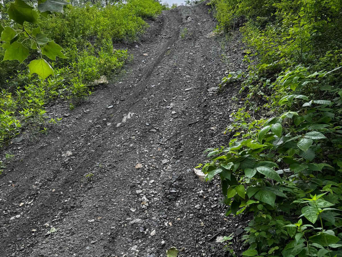 Red 170 trail photo