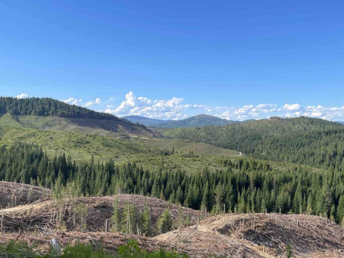 Grandad Road (Elk River to Dworshak Reservoir) photo 6