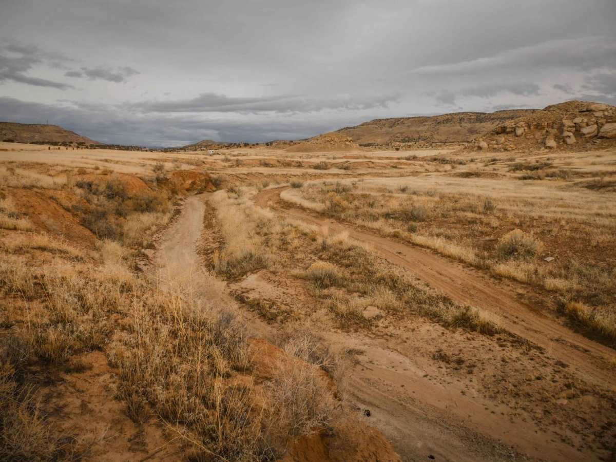 Trail 1 photo 5