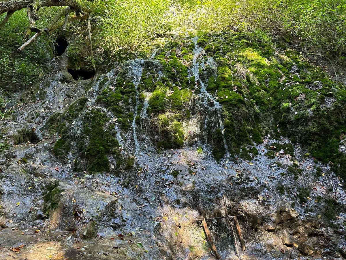Waterfall Trail photo 5