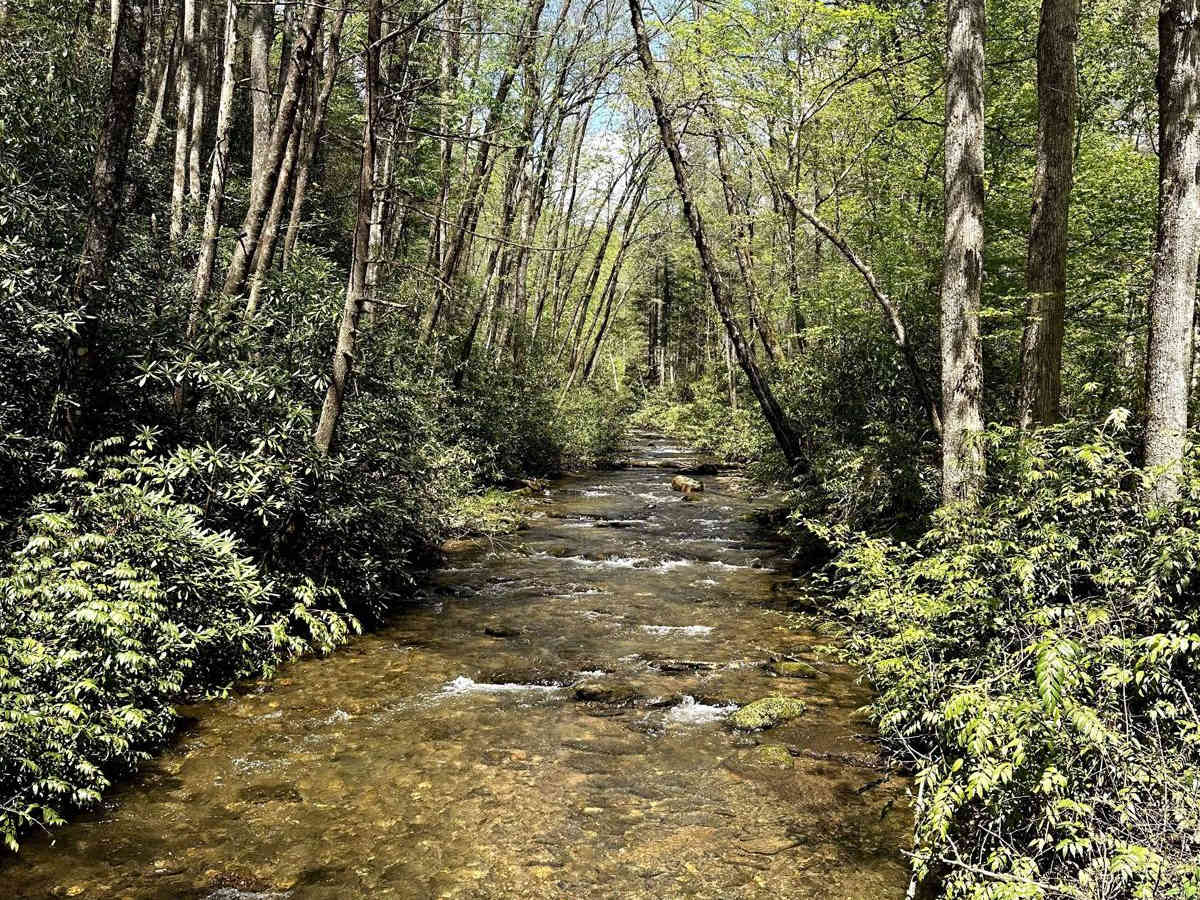 Chattahoochee River Road photo 3
