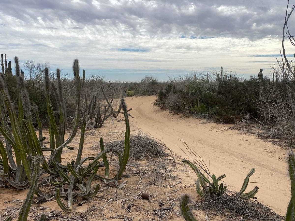 El Faro Connection trail photo