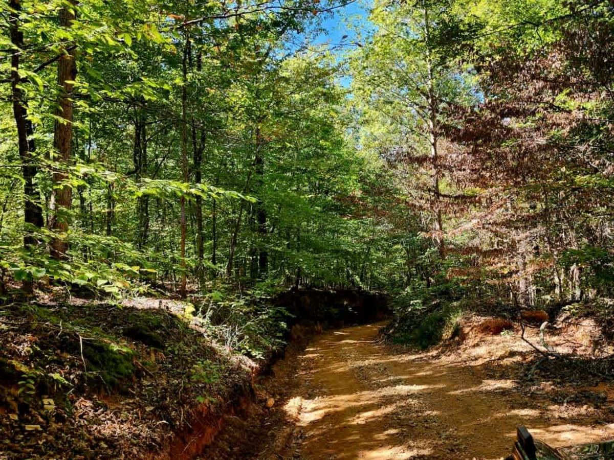 Tyler Ridge Road photo 2