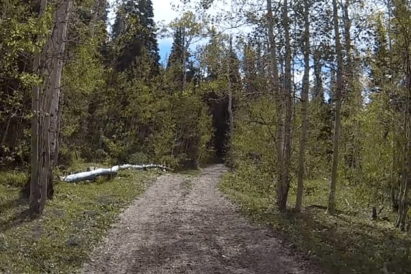 Exiting Manti Canyon