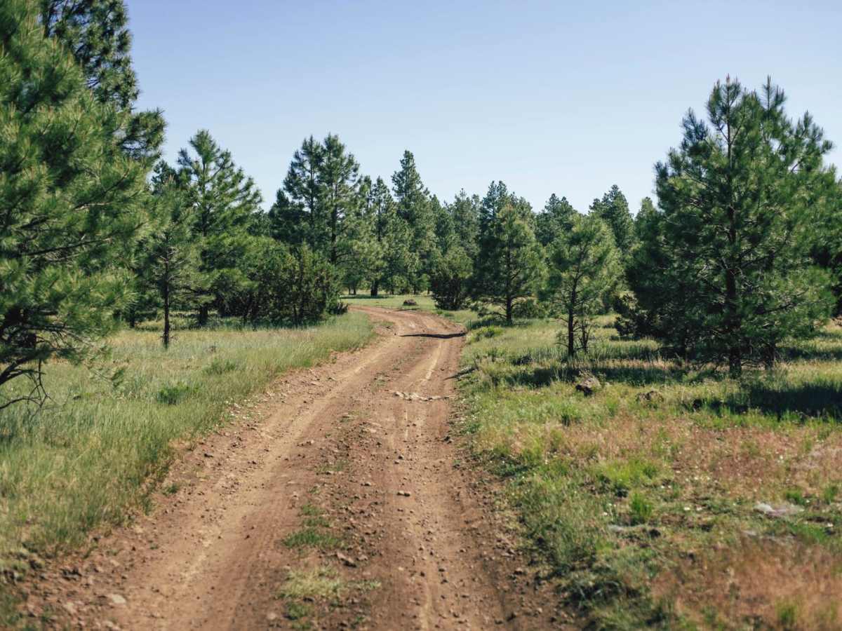 Old 72 Road photo 2