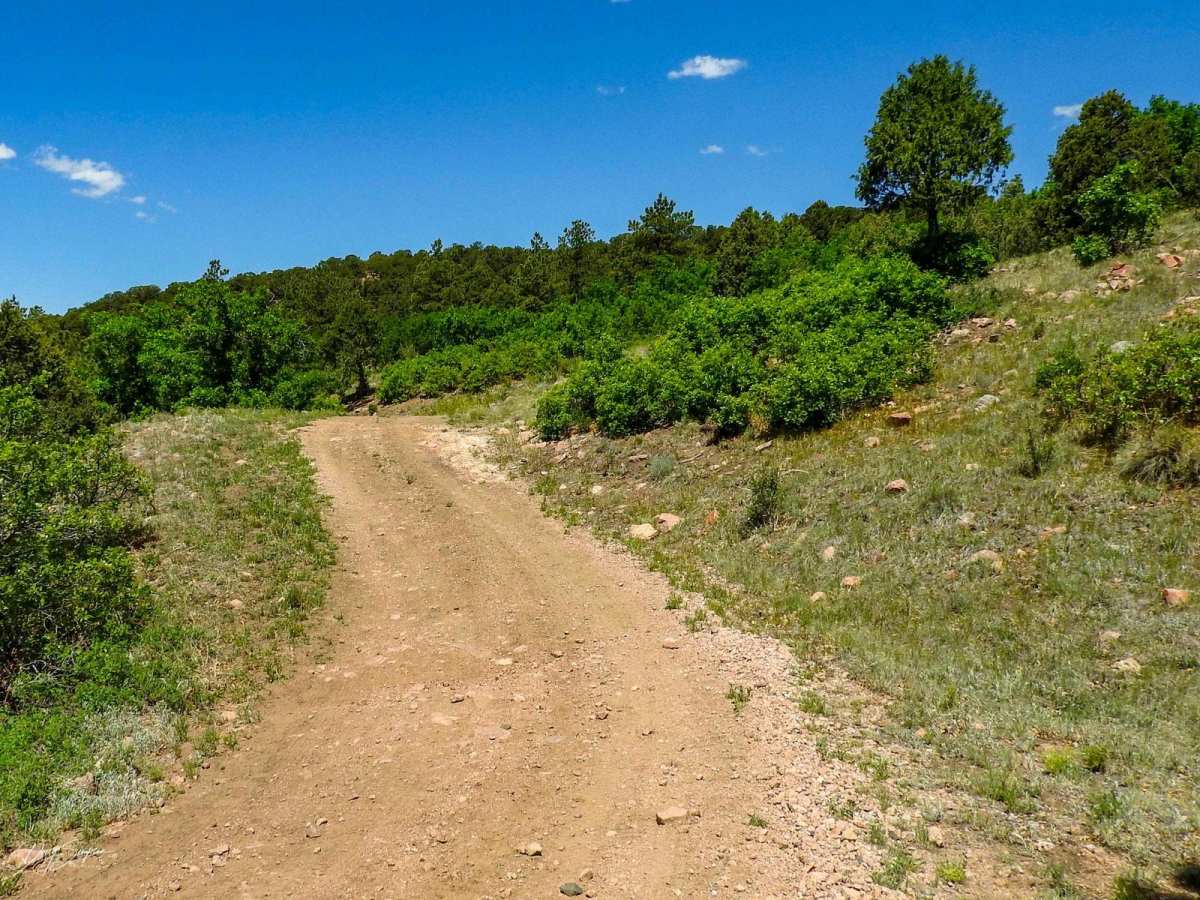 Turkey Creek Forest Road 637 photo 4