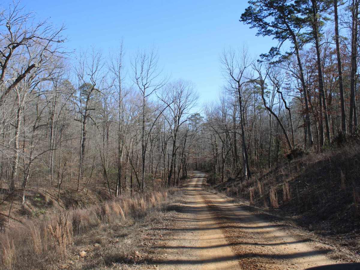 Collier Springs photo 2
