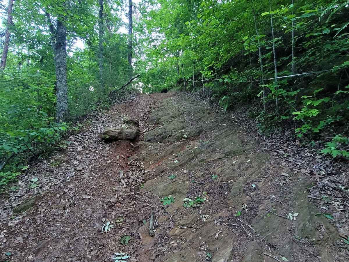Still Hill Access photo 3