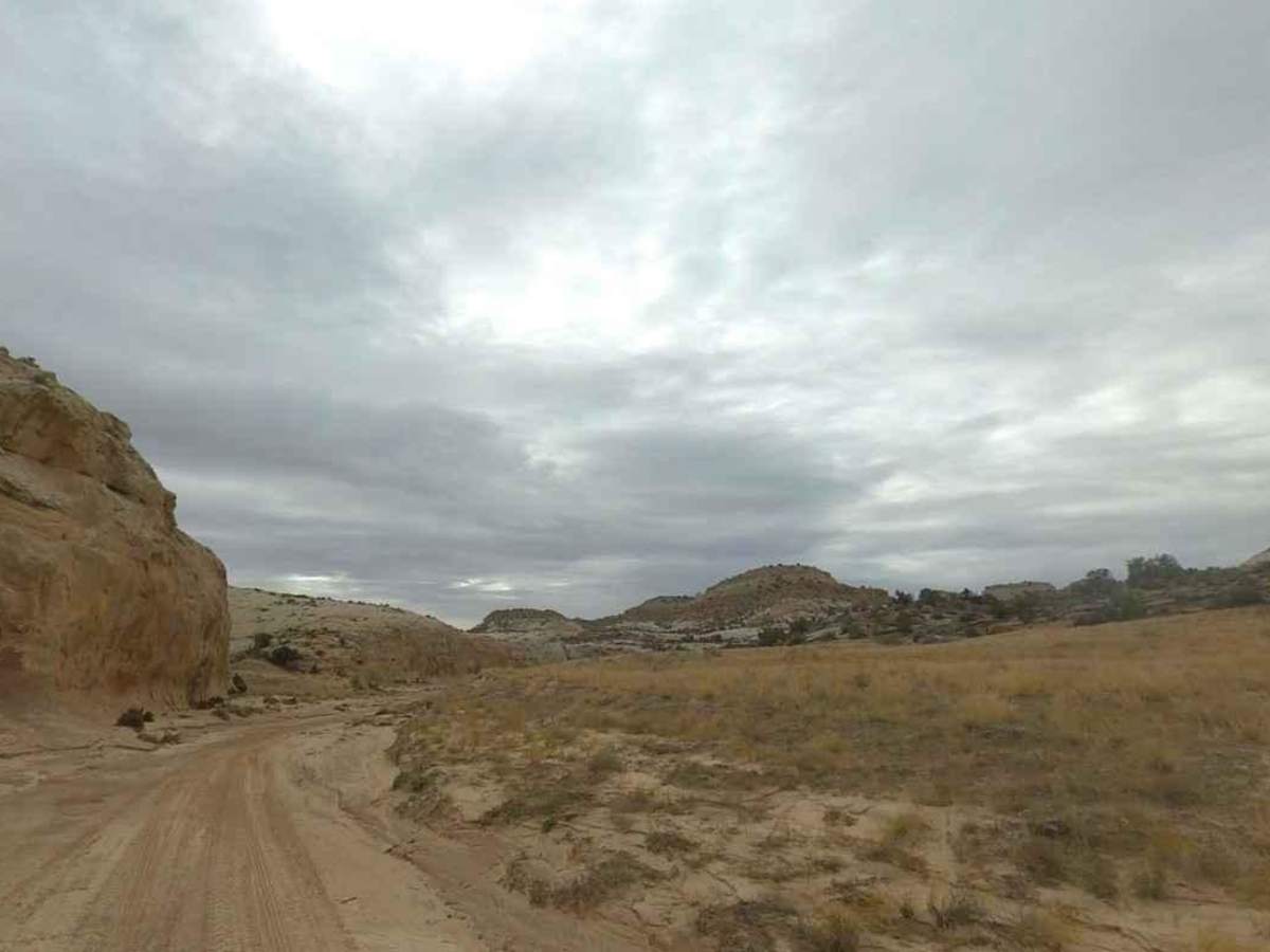 North Fork Coal-BLM638 photo 4