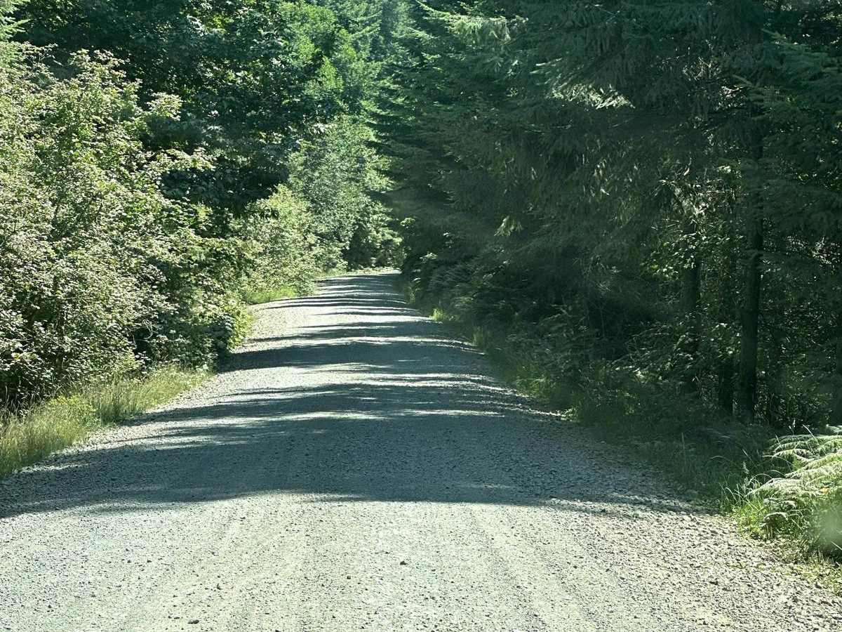 8 Road photo 5