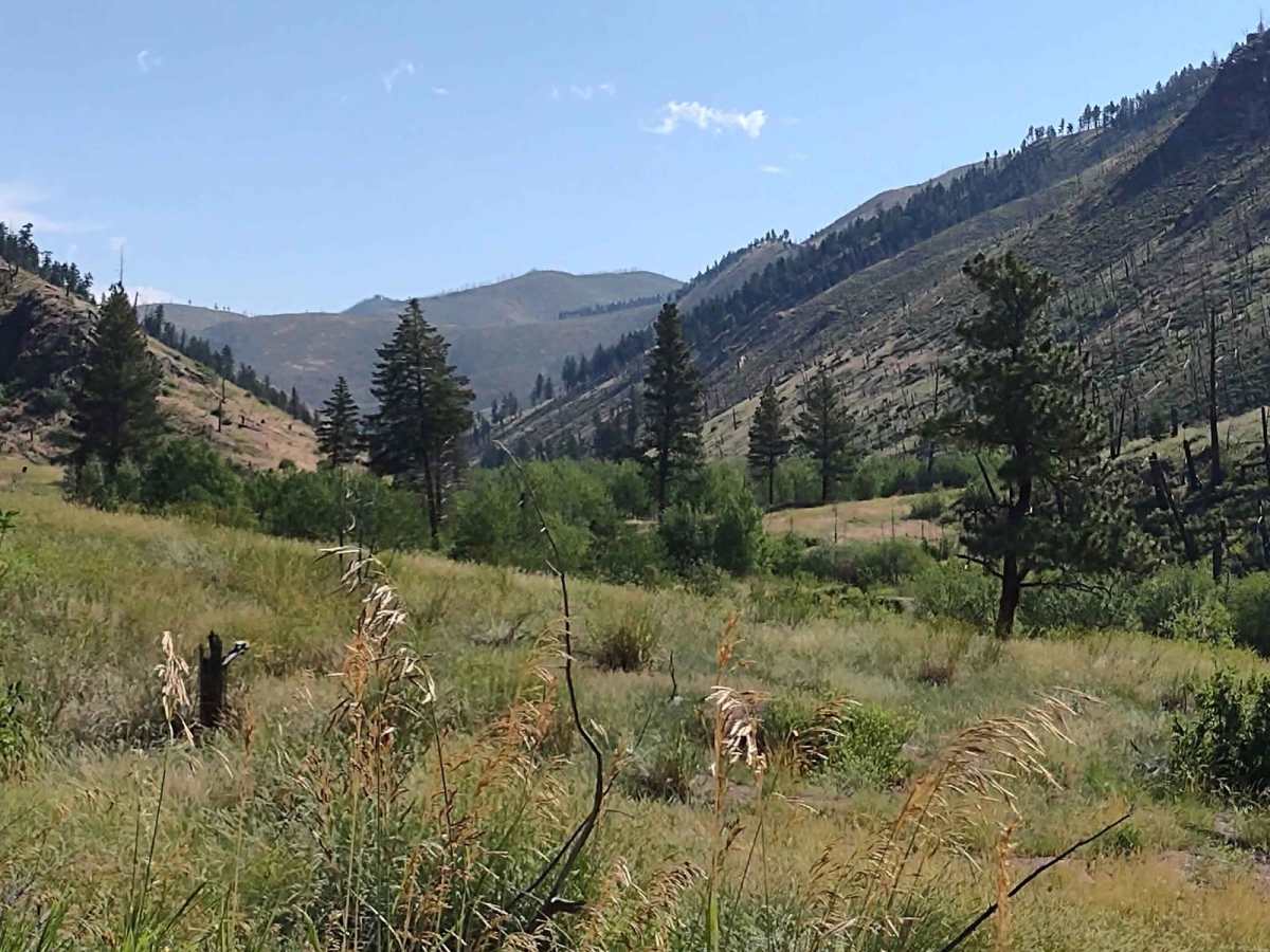 Magpie Gulch photo 4