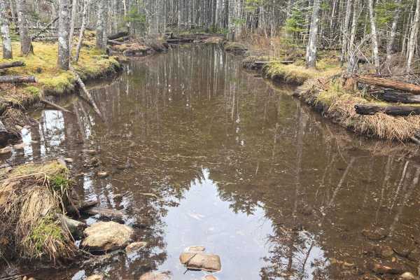 Rocky brook rd