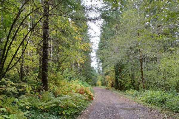 Little Hebo Access
