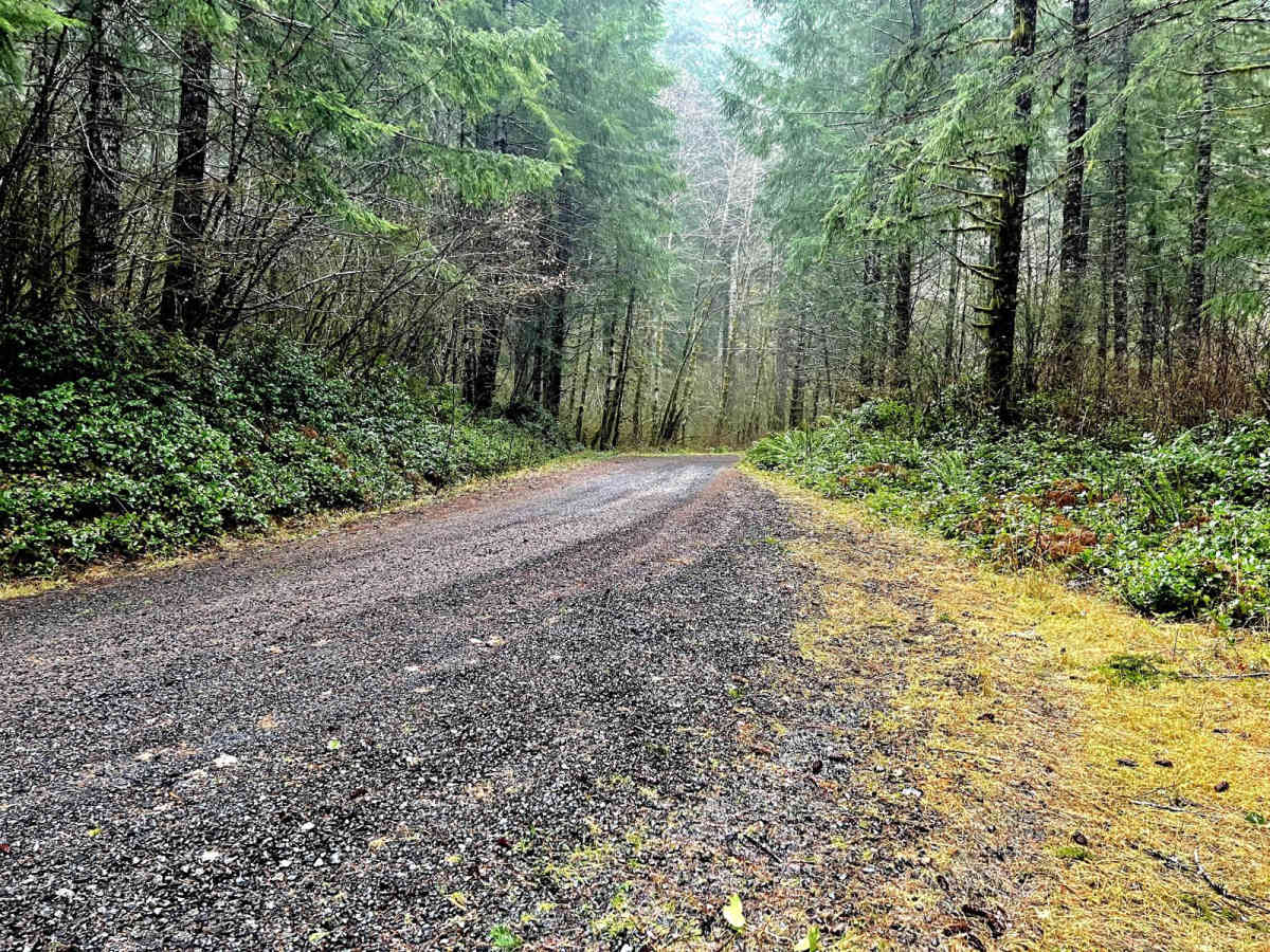 Oregon Coast Trail to Sea Lion Caves trail photo