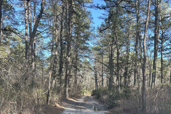 Battie Trail