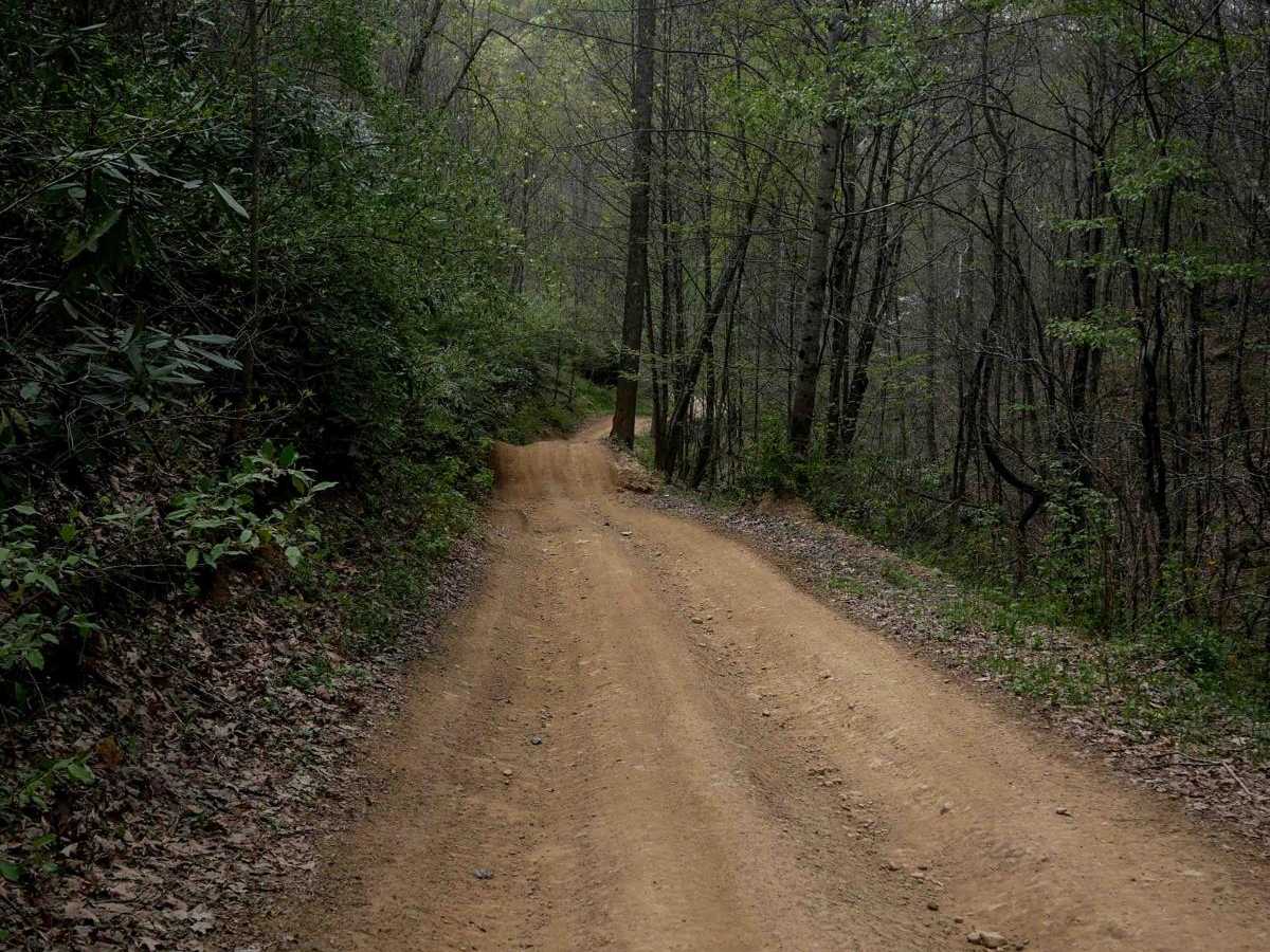 P11 trail photo