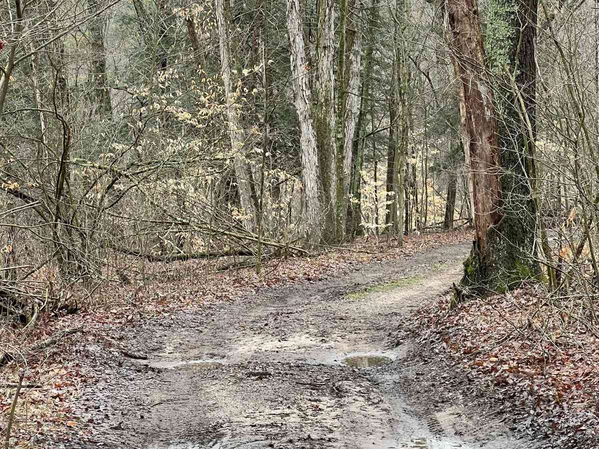 Kalamazoo River Bluffs Trail photo 6