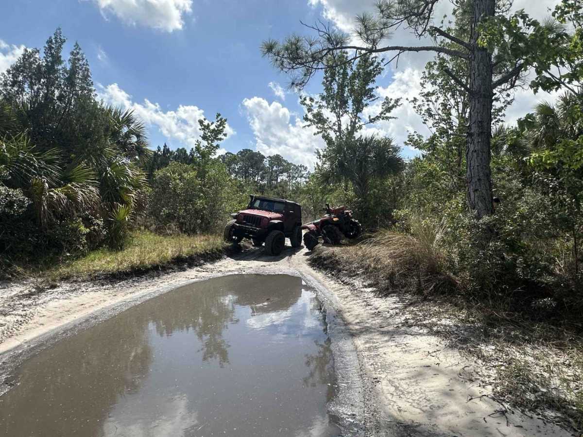 Sawgrass Trail photo 4