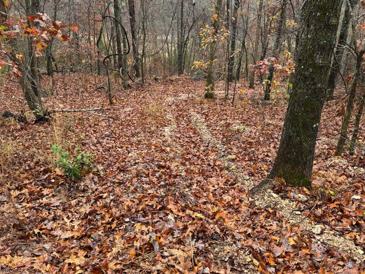 Green 89 trail photo