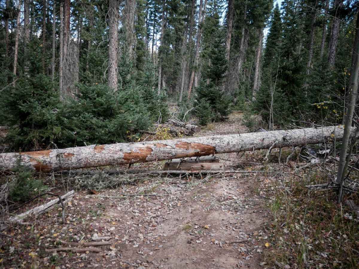 Devil Mountain photo 6