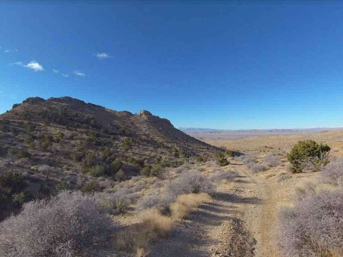 BLM30085 photo 5