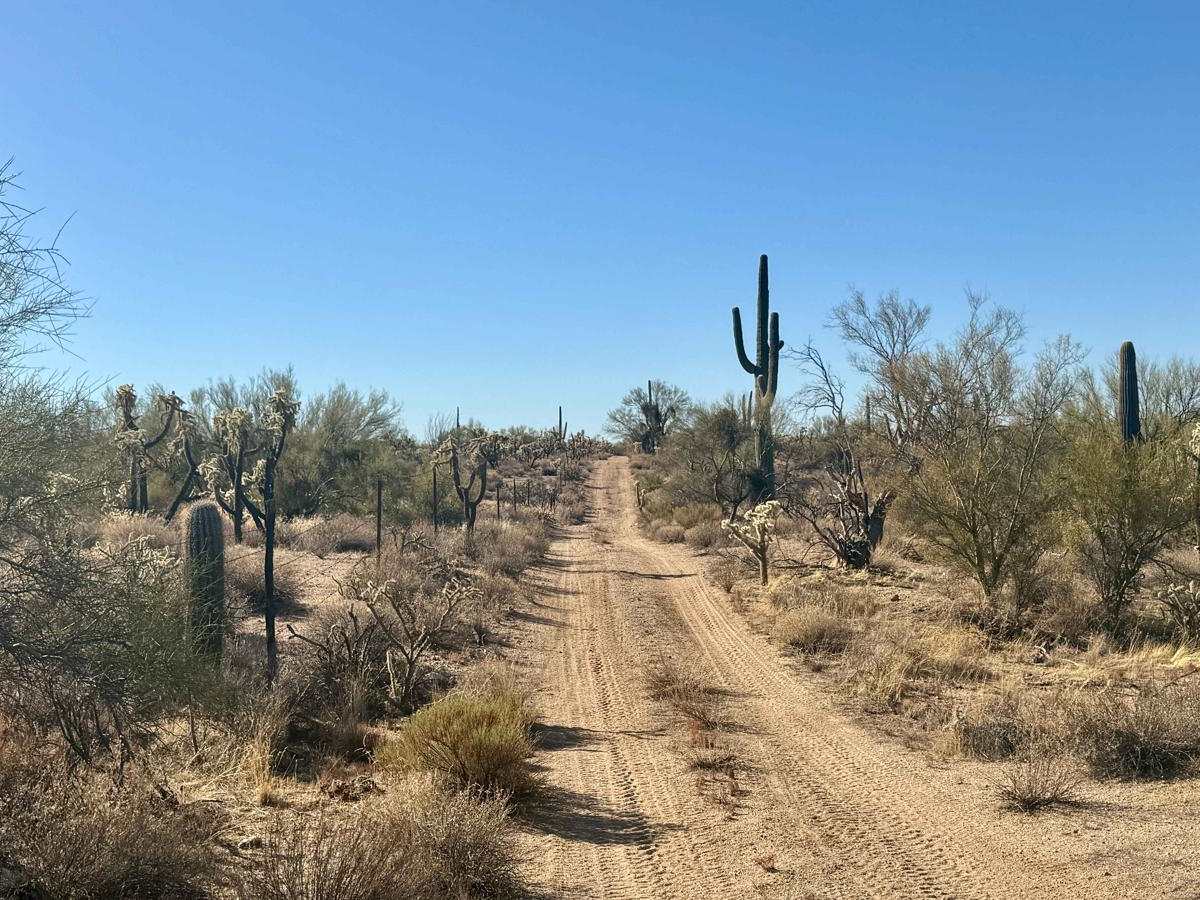 Gato Tank Norte trail photo