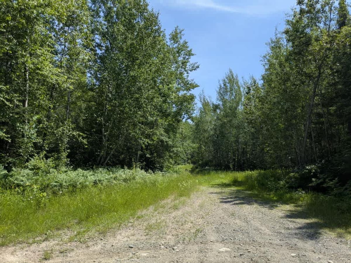 South Long Lake Road trail photo