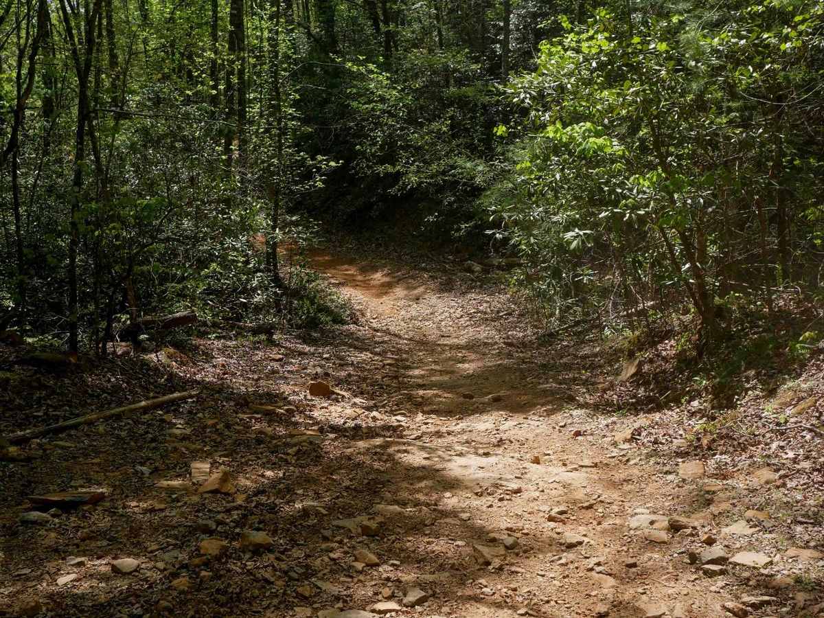 Hightower Loop Connector Trail D photo 5